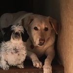 dwhite30102 is swapping clothes online from 