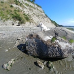 jaymoloney is swapping clothes online from 