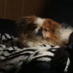 rejectred is swapping clothes online from FLORENCE, AL