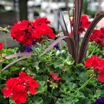 edematte is swapping clothes online from 