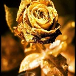 livinmylife is swapping clothes online from 