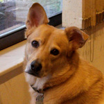 bolson61 is swapping clothes online from 