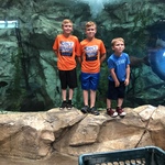 acarroll01 is swapping clothes online from 