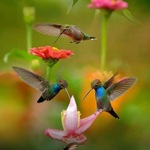 kimbercloset is swapping clothes online from 