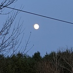 Brandie Starr is swapping clothes online from 