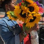 swankyd is swapping clothes online from 