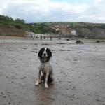 karenhoone is swapping clothes online from 