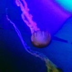 G is swapping clothes online from 