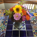 vermont is swapping clothes online from 