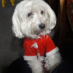 xiomara78 is swapping clothes online from 