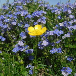 wilsh is swapping clothes online from 