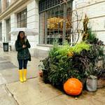 l20zimb is swapping clothes online from 