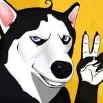 dustinjackson is swapping clothes online from 