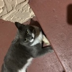 lindablue21 is swapping clothes online from 