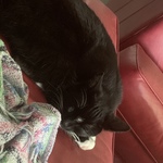 katd06 is swapping clothes online from 