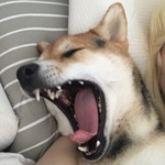 madmaenad is swapping clothes online from LOS ANGELES, CA