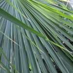 amc is swapping clothes online from 