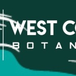 Online Cannabis is swapping clothes online from 