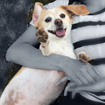 bfgfhjhf is swapping clothes online from 