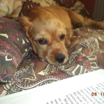 victoriag is swapping clothes online from LA PUENTE, CA