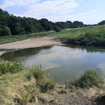 krys777 is swapping clothes online from 