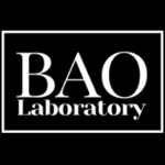 baolaboratory is swapping clothes online from 
