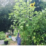 bihageman is swapping clothes online from 