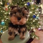 carenard is swapping clothes online from NEW FRANKEN, WI