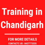 SEO Training in Mohali is swapping clothes online from 