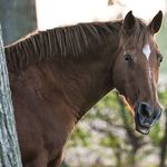 SurlyGirly is swapping clothes online from 