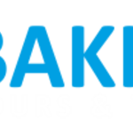 bakhlatours is swapping clothes online from 