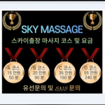 seoulanma3 is swapping clothes online from 