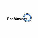 Pro Movers Miami is swapping clothes online from MIAMI, FL