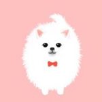 teacup_puppies_nyc is swapping clothes online from 