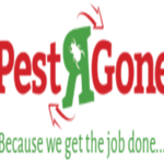 Pest R Gone Toronto is swapping clothes online from NORTH YORK, ON
