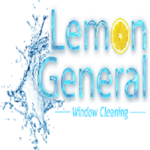 lemongeneral is swapping clothes online from 