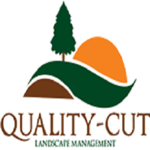 qualitycutoh02 is swapping clothes online from 