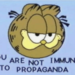 sundaiyz is swapping clothes online from 