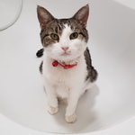 daphne88 is swapping clothes online from 