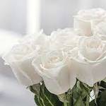 sympathyquotes is swapping clothes online from 