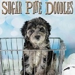 sugarpine11 is swapping clothes online from 