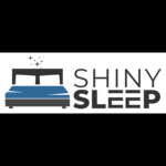 shinysleep is swapping clothes online from 