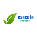 executepestcontrol is swapping clothes online from 