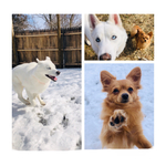 hannah_w2325 is swapping clothes online from CARSONVILLE, MI