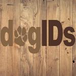 Dog ID's is swapping clothes online from Fargo, North Dakota