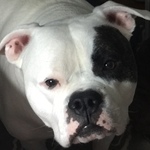 franksmom is swapping clothes online from 