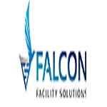 falconfs480 is swapping clothes online from 