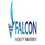 falconfs48 is swapping clothes online from 