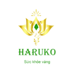 harukovn is swapping clothes online from hà nội, 1233456