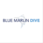 bluemarlindive is swapping clothes online from 